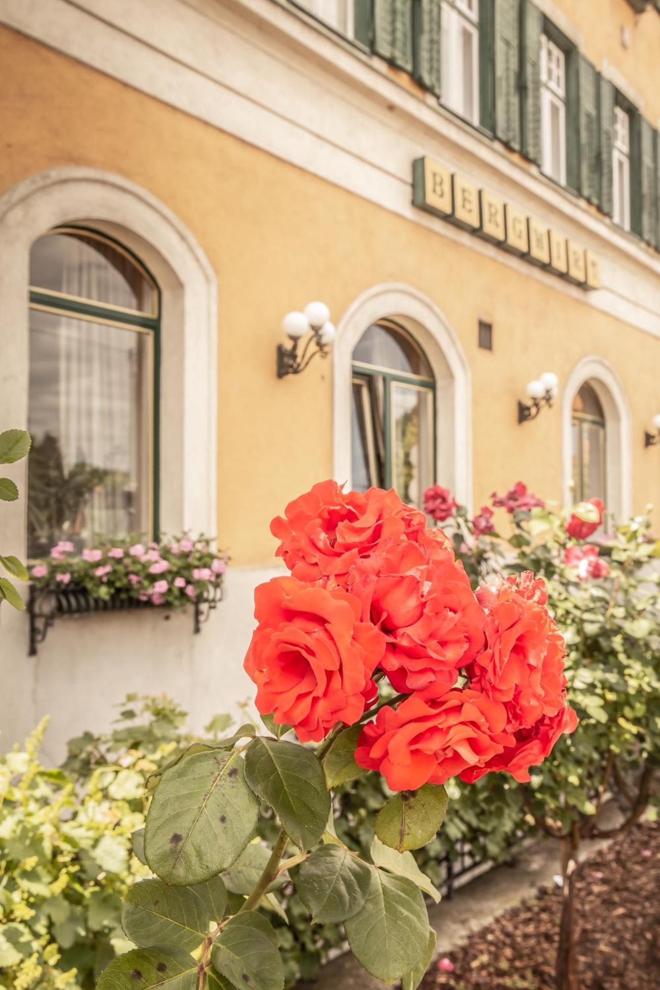 Hotel Bergwirt Schoenbrunn Viena Exterior foto